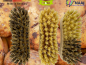 Preview: Vegetable brush Fiber