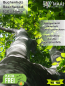 Preview: Saalbesen