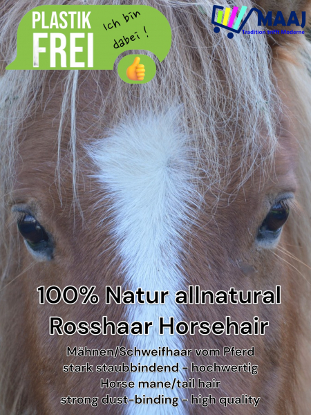 Profi Handfeger Rosshaar
