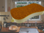 Nut Scouring sponge